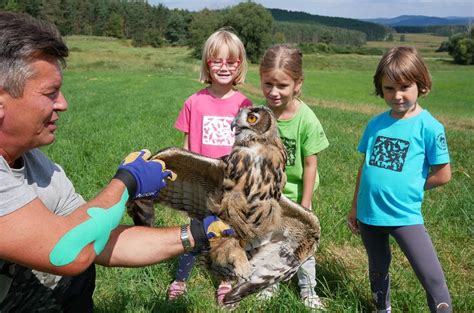 kam za zvířátky středočeský kraj|Zoo a zooparky ve středních Čechách, výlety za zvířaty